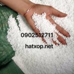 hat-xop-gia-si